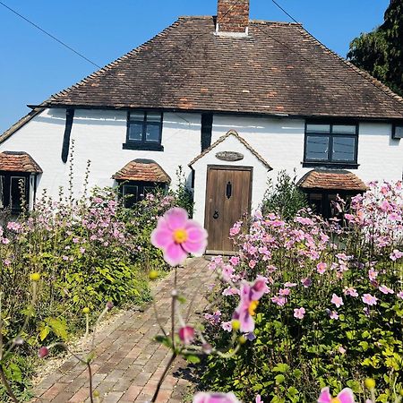 Вилла Local Walks Pub Gardens Pet Friendly Landscaped Gardens And Free Private Parking Doddington  Экстерьер фото